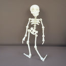 3D Skeleton Charm - Tumbler Handle Charm