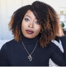 Short Curly Explosion Head Small Curly Wig