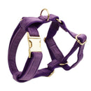 Pet Collar Dog Fabric Velvet