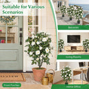 35.5" Artificial Rose Tree with Blooming Flowers in Pot