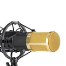 NW 800 CONDENSER MICROPHONE SHOCK MOUNT POWER CAB