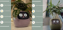 Smart AI Planter with Expressions and Sensors