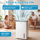 80 Pint Dehumidifier with Drain Hose & Smart Control