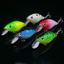 WALK FISH 5-Piece Minnow Lure Set - 5 Colors, Hard Bait