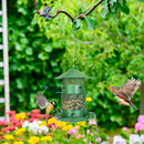 Wild Bird Feeder Squirrel-Proof Chew-Proof Metal Bird Seed Feeder Outdoor Hanging Bird Feeder With 360¡ Circular Perches Water Cups For Yard Garden Pa