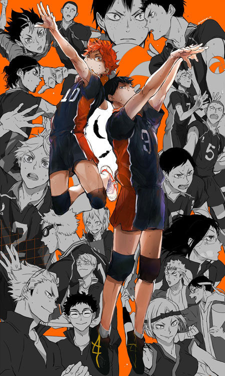 Haikyuu! Wallscroll