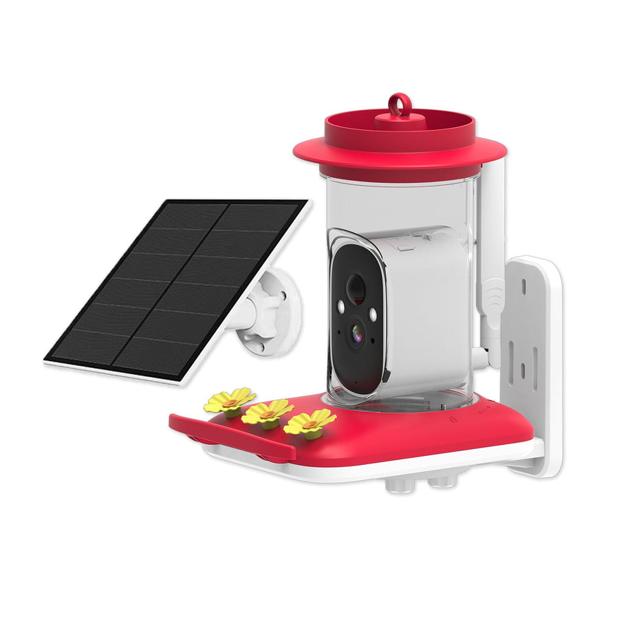 Intelligent Visual Hummingbird Water Feeder 5MP Pixel Outdoor HD