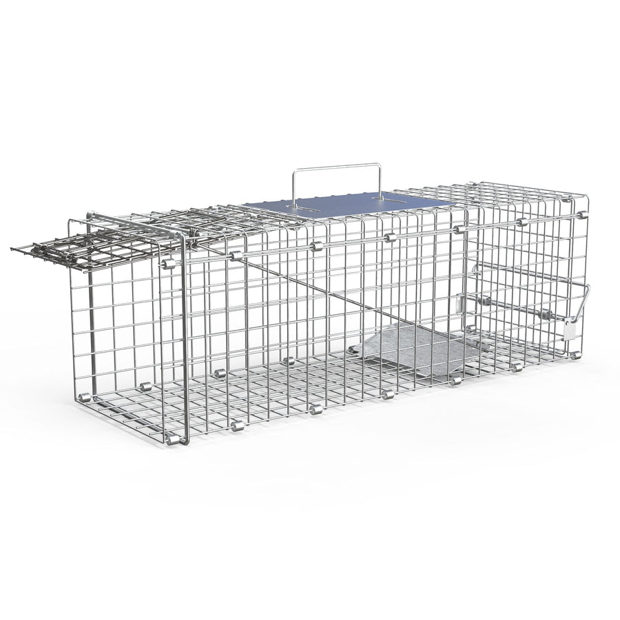 Humane Cat Trap Cage Catch Release Live Animal Rodent Cage Collapsible Galvanized Wire for Small Raccoons Beavers Groundhogs Foxes Armadillos