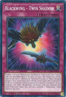 Blackwing - Twin Shadow | DABL-EN071