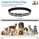 GBruno Dog Training Collar Dog
