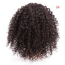 African Drawstring Small Curly Wig