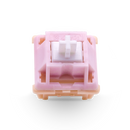 Salmon Tactile Switch