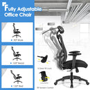 High Back Mesh Executive Chair with Adjustable Lumbar Support