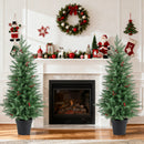 4 FT Pre-lit Christmas Trees with 70 Warm White LED Lights and 173 Branch Tips 2 Pack