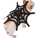 Halloween Cat Dog Spider Web Makeover