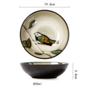 Japanese Ceramic Individuality Bowls Dishes