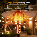 50 000 BTU Patio Propane Gas Heater with Stainless Steel Burner