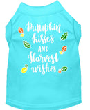 Pet Dog and Cat Shirt Screen Printed, "Pumpkin Kisses & Harvest Wishes"