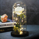 Enchanted Forever Rose LED Christmas Decor