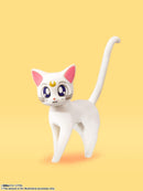 Sailor Venus S.H. Figuarts Animation Color Edition - Bandai Tamashii Nations Pretty Guardian Sailor Moon Action Figure