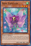 Rose Papillon | AGOV-EN093