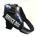 Chest strap