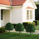 28 Inches Artificial Boxwood Topiary Ball Tree Set of 2 with Ground Spike-Green