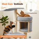 55" Solid Rubber Wood Cat Tree with Condo & Hammock