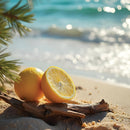 Warm Seas & Greetings Candle