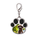Personalized Paw Print Photo Keychain & Clip-On Charm