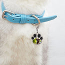 Personalized Paw Print Photo Keychain & Clip-On Charm