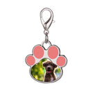 Personalized Paw Print Photo Keychain & Clip-On Charm