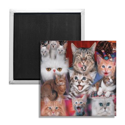 Happy Cats Fridge Magnet