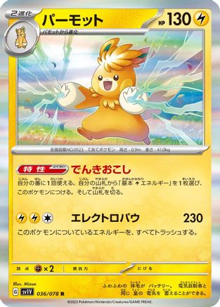 Pawmot - 036/078 (036/078) - SV1V Violet ex Holofoil