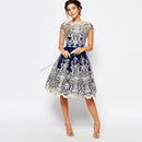 Retro mesh dress