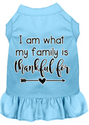 Pet Dog & Cat Dress Screen Printed, "I Am What My Family Is Thankful For"