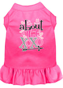 Dog Dress, Pet Dog & Cat Dress Screen Printed, "All About That XOXO"