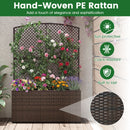 58 Inch Raised Garden Bed with Trellis and Wicker Planter Box