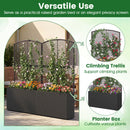 58 Inch Raised Garden Bed with Trellis and Wicker Planter Box