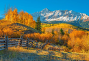 1000 Piece Jigsaw Puzzle, View Of Wilson Peak In Autumn, USA, Rustic autumn mountain landscape, Nature puzzle, Adult Puzzle, Castorland C-105502-2