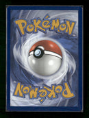 SV: Scarlet & Violet Promo Cards Greninja ex #132