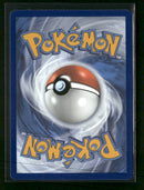 SWSH: Sword & Shield Promo Cards Lance's Charizard V #SWSH133