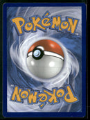 SM Promos Reshiram & Charizard GX #SM247