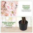 5.5 FT Tall Artificial Cherry Blossom Tree with Pink/White Flowers 1 Pack