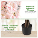 5.5 FT Tall Artificial Cherry Blossom Tree with Pink/White Flowers 2 Pack