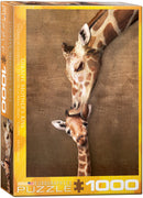 Puzzle: Animal Life Photography - Giraffe Mother's Kiss