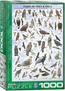 Puzzle: Animal Charts - Birds of Prey and Owls