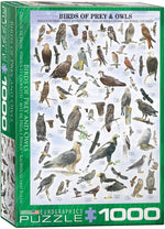 Puzzle: Animal Charts - Birds of Prey and Owls