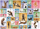 Puzzle: Yoga Dogs & Cats Collection - Yoga Cats