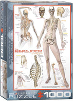 Puzzle: History & General Interest - Skeletal System (Human Body)